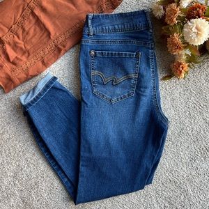 Wallflower Curvy High Rise Blue Jeans